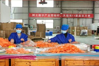 狂歡雙11 搶抓內需爆發(fā)節(jié)點 義烏數字化產業(yè)帶緊急備戰(zhàn)雙11